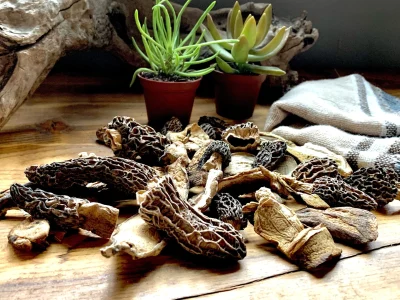 Dried Mushrooms1 Dried Mushrooms1