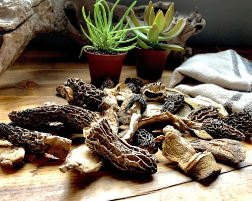 Dried Mushrooms1